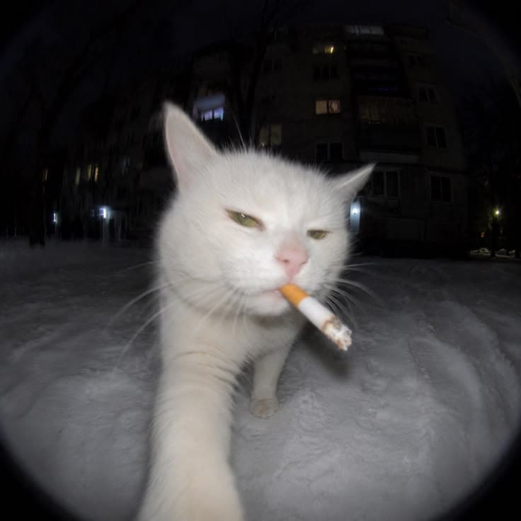 Lo-fi jazz chill